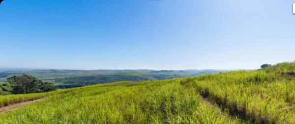 965 m² Land