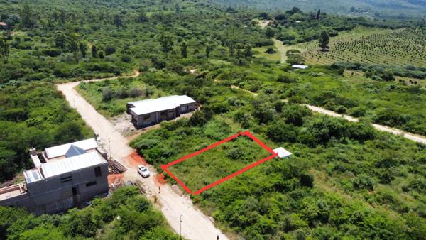 35 ha Farm