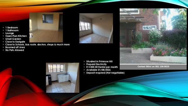 1 Bedroom Apartment