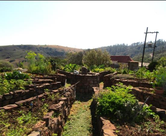 22 ha Farm
