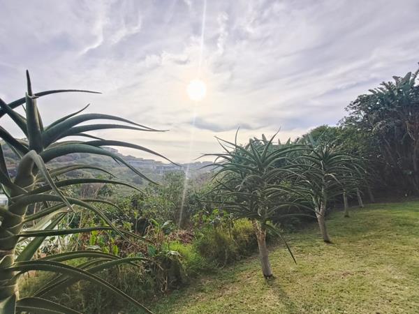 1 101 m² Land