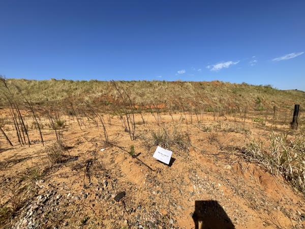 304 m² Land