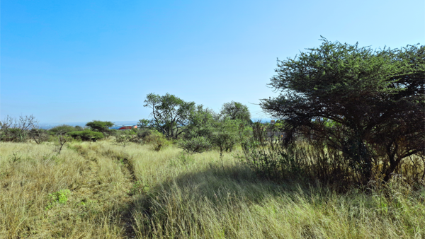 2 ha Land