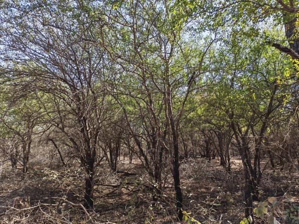 1 600 m² Land