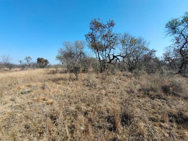 6 500 m² Land