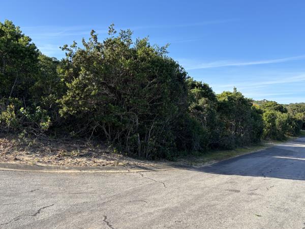 725 m² Land