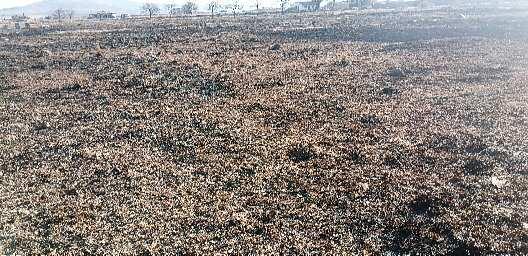 1 830 m² Land