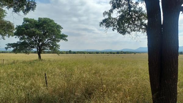 131.9 ha Farm