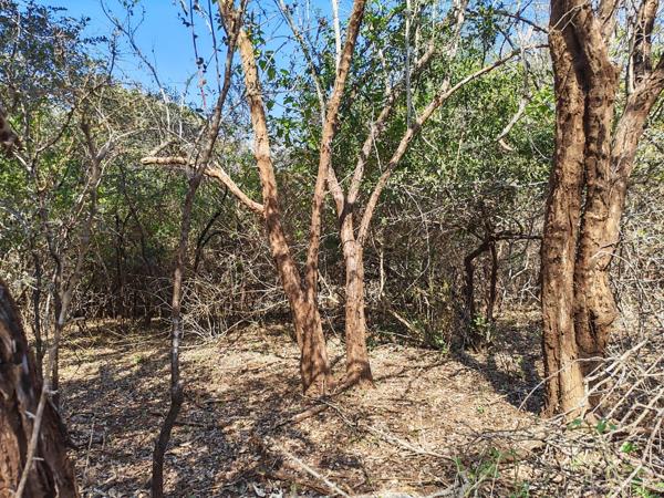 2 000 m² Land