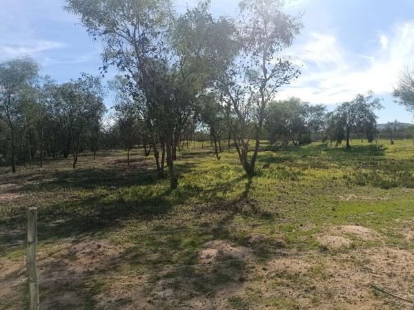 7 ha Farm
