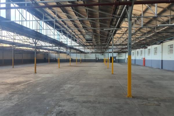 9 295 m² Industrial space