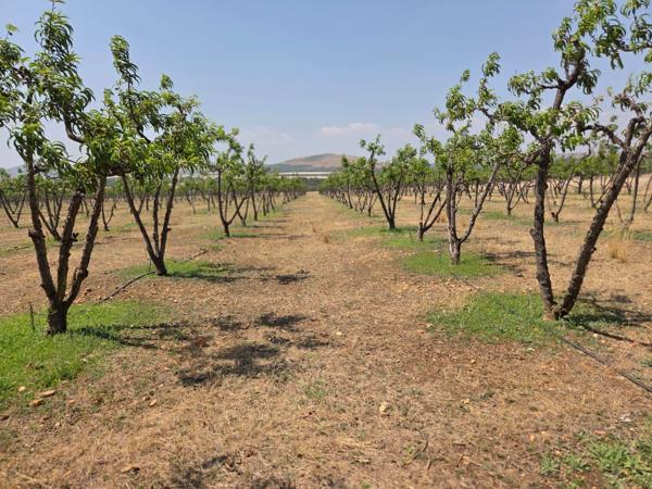 66.7 ha Farm