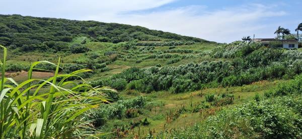 4 ha Land