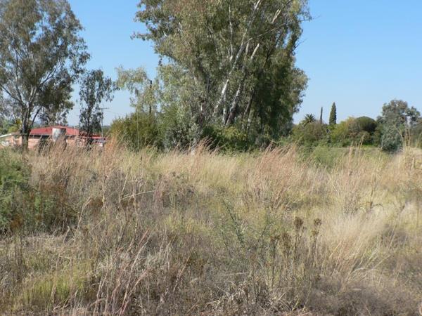 1 115 m² Land