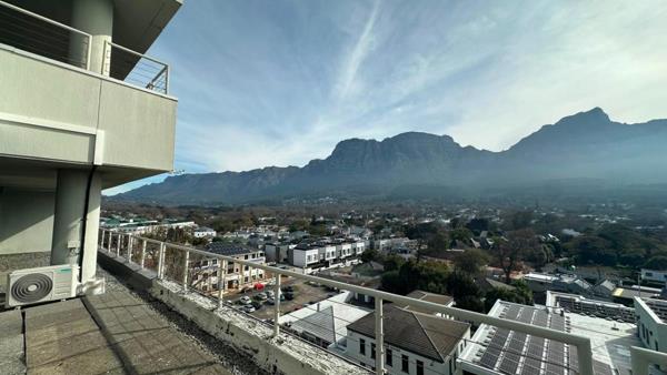 236 m² Office Space