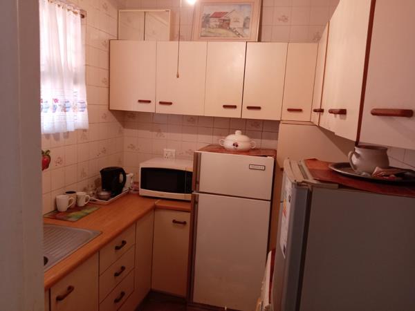 Bachelor apartment