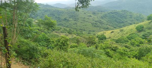 8 ha Farm