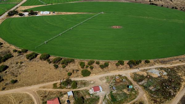 262 ha Farm