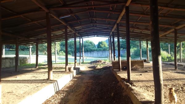 Farm