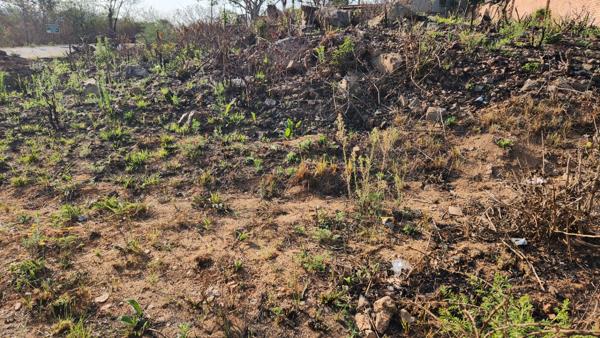 848 m² Land
