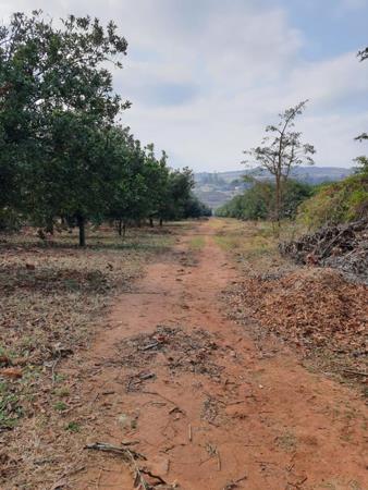 15.9 ha Farm