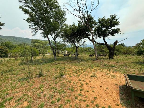 1 m² Land