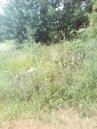 1 ha Land