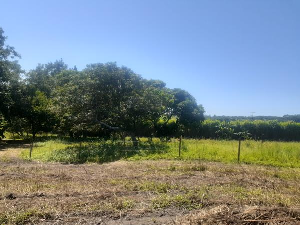 Farm