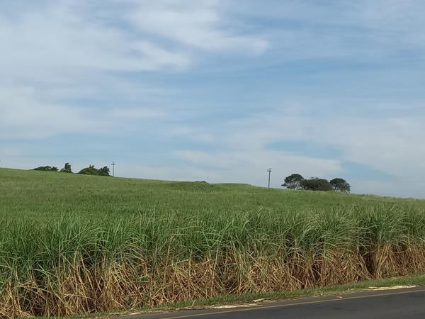 Farm