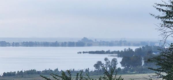 1.3 ha Land
