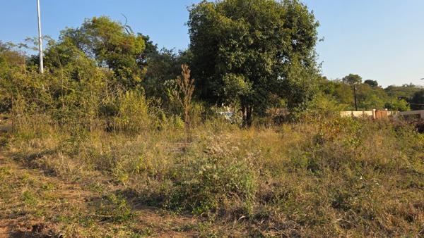 806 m² Land