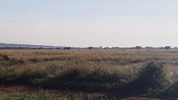 9 786 m² Land