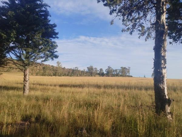 5 630 m² Land