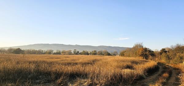 9 ha Farm