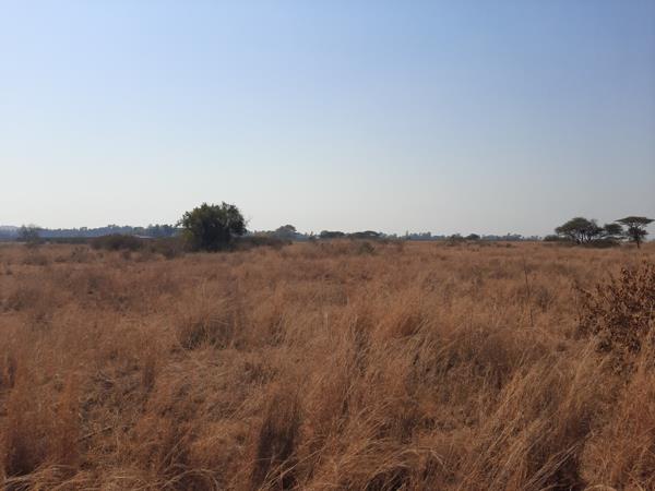 1 ha Land