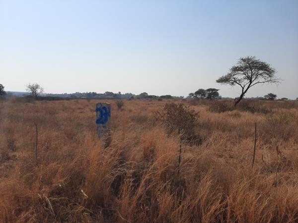 1 ha Land
