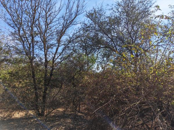 1 600 m² Land