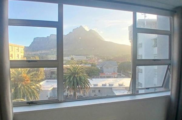 Bachelor apartment