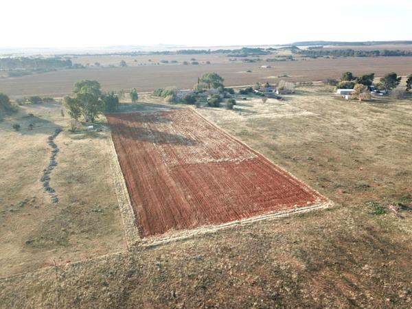 7.8 ha Smallholding