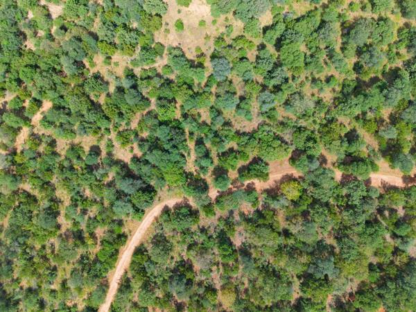 2 469 m² Land