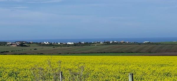 733 m² Land