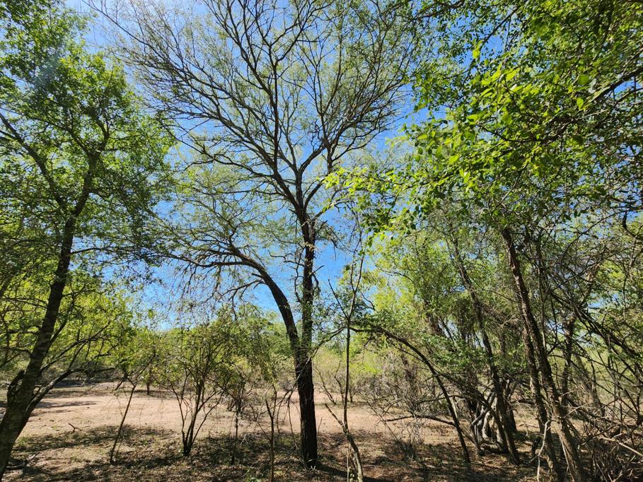 2 000 m² Land