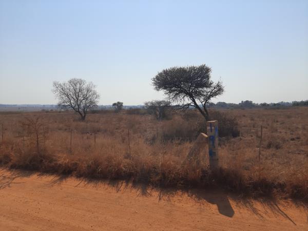 1 ha Land