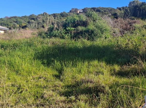 785 m² Land