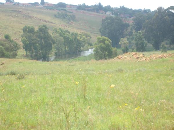 40 ha Land