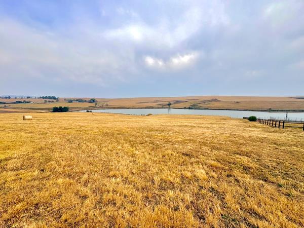 1 ha Land