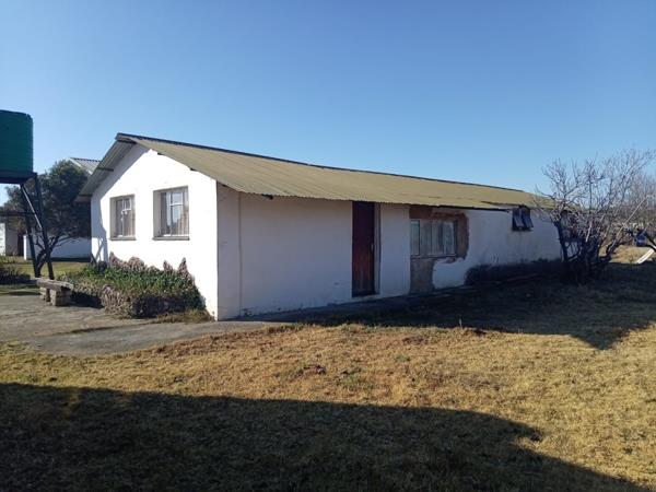 2.3 ha Smallholding