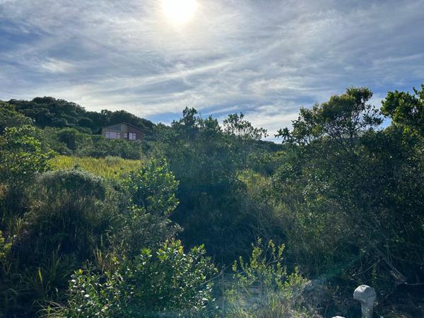 725 m² Land