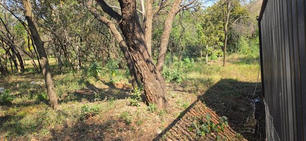 8 565 m² Land