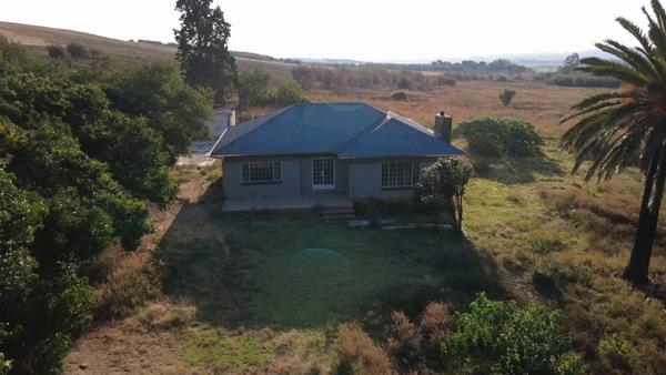 42 ha Land